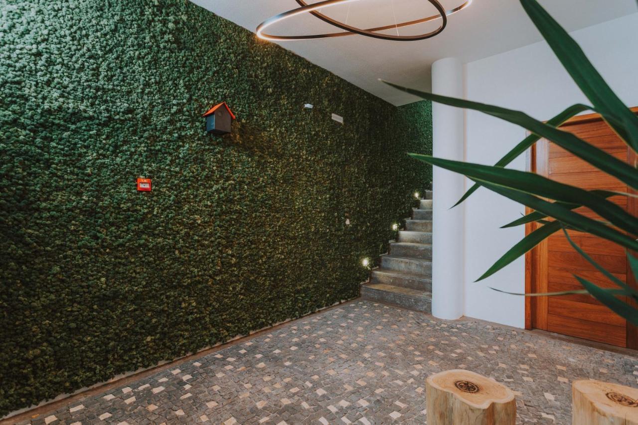 شقة Flh Casa Branca Madeira فونشال المظهر الخارجي الصورة